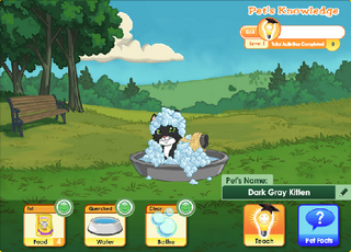 petpark3.png